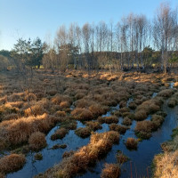 Marais du Cassan et de Prentegarde